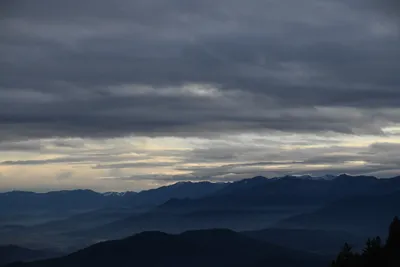 DSC_0107 (Large).JPG